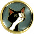 Pin's Rond Doré 18mm